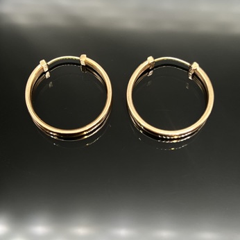 گوشواره حلقه ای